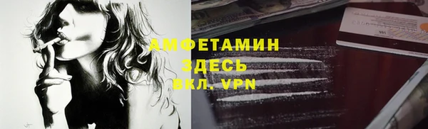 крисы Няндома