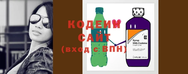 крисы Няндома